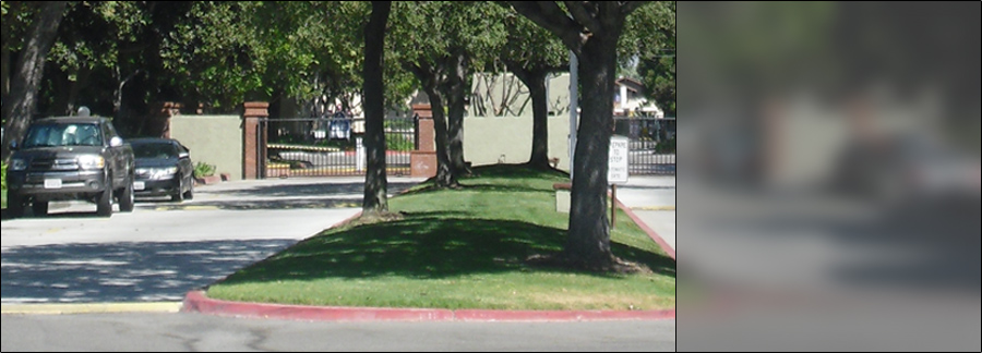 Slideshow Image 4