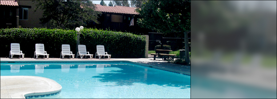 Slideshow Image 1