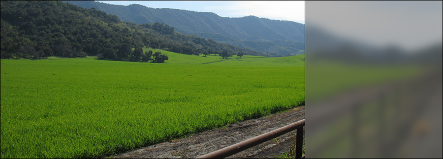 Slideshow Image 4