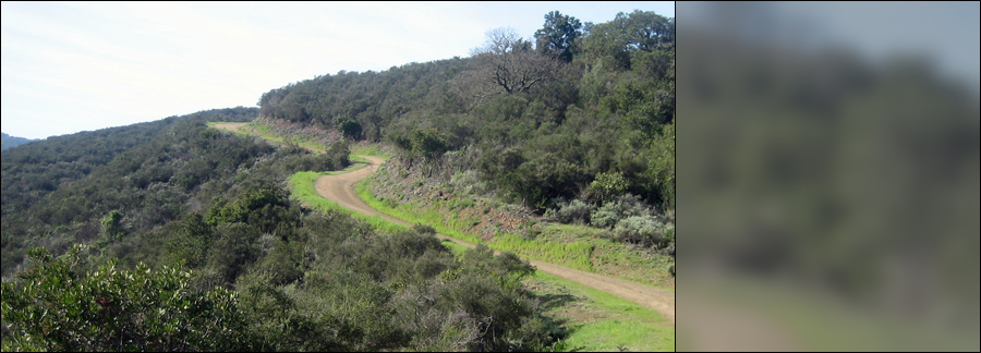 Slideshow Image 2